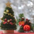 クリスマスツリー手作りにチャレンジ！木の選び方オーナメント紹介